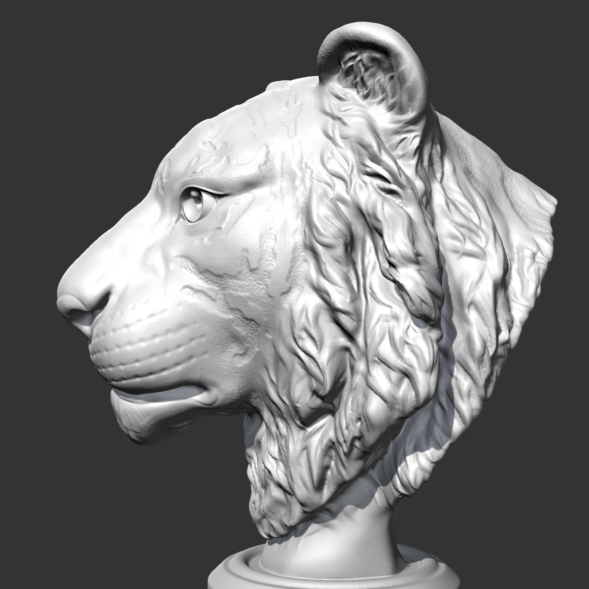 Tiger Head AM16 3D print model 3D print model_5