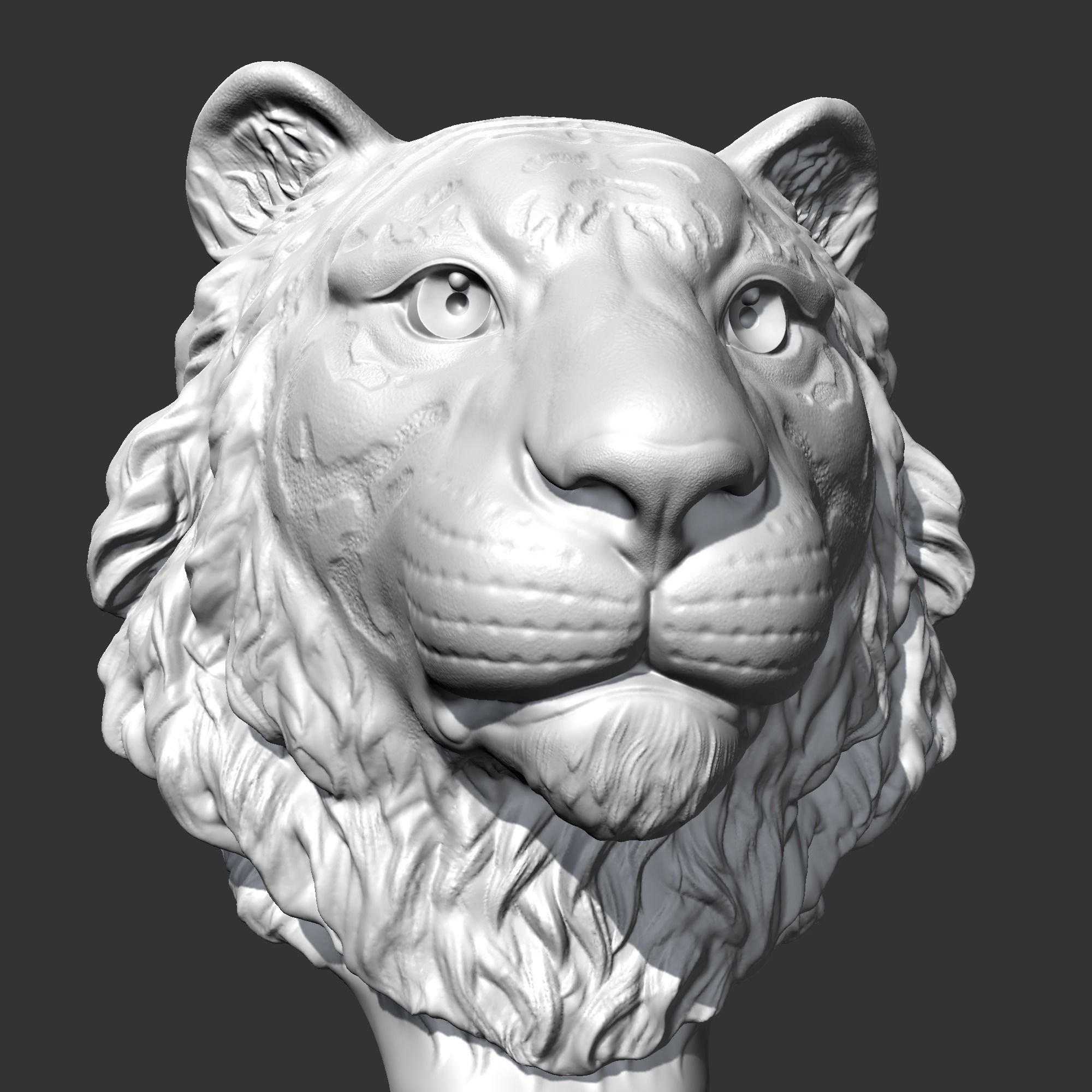 Tiger Head AM16 3D print model 3D print model_2