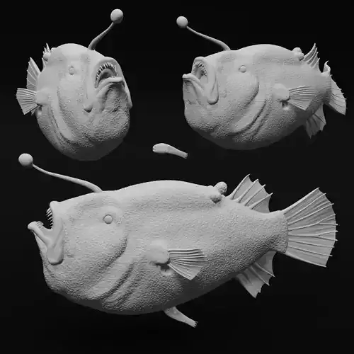 Triplewart Seadevil - Realistic Angler Fish 3d Print 3D print model