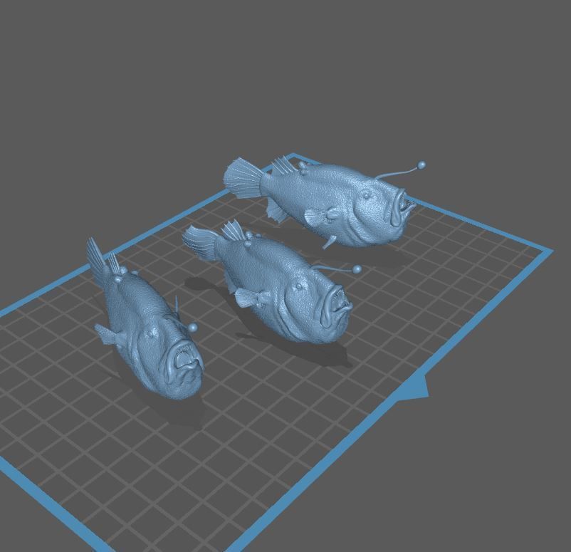 Triplewart Seadevil - Realistic Angler Fish 3d Print 3D print model_10