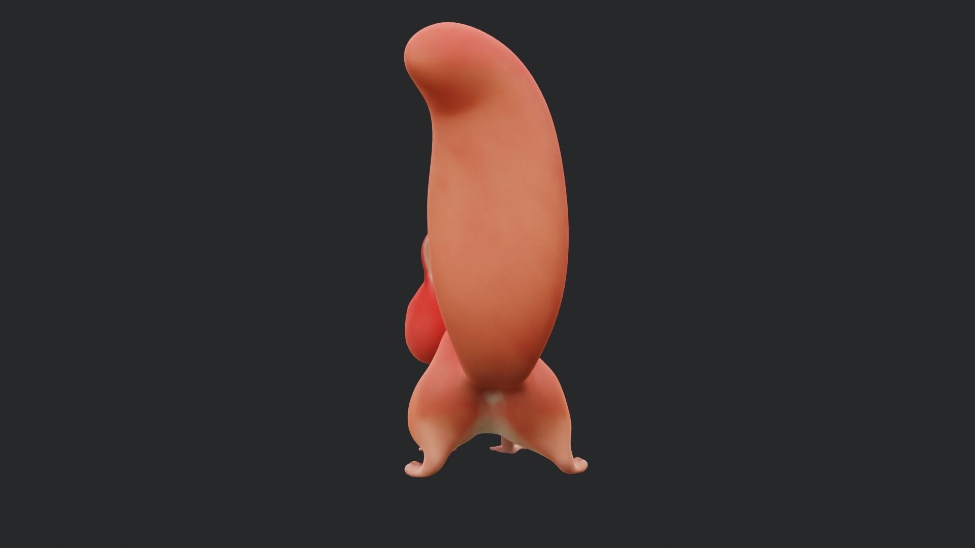 Squirrel - A stylized rigged animal for Blender Low-poly 3D model_27