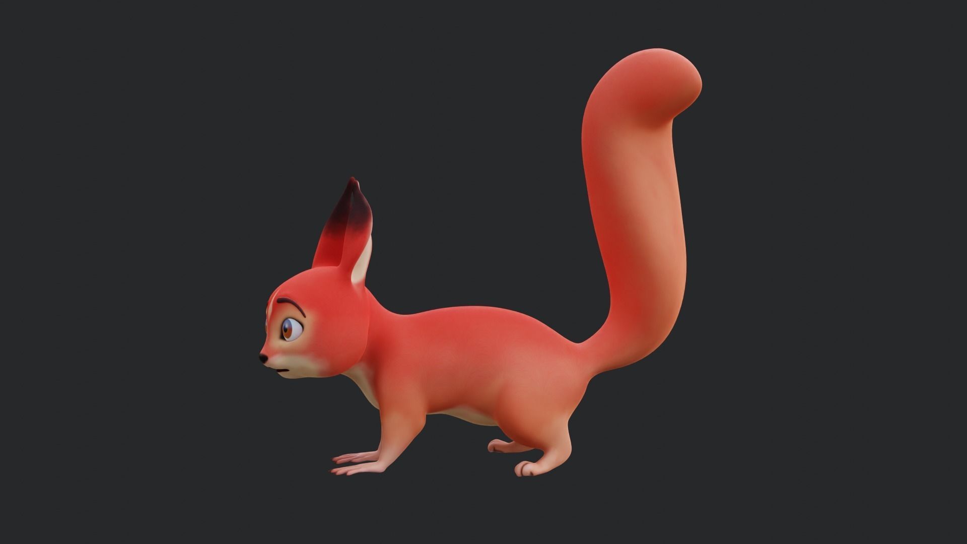 Squirrel - A stylized rigged animal for Blender Low-poly 3D model_32