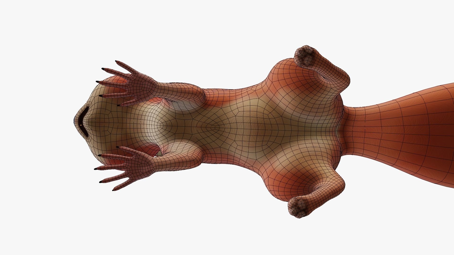 Squirrel - A stylized rigged animal for Blender Low-poly 3D model_13