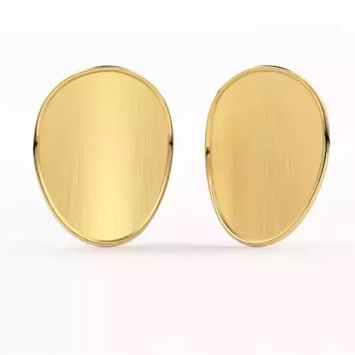 Oval Solid Gold Brushed Earrings Silver Body Jewelry 3D model