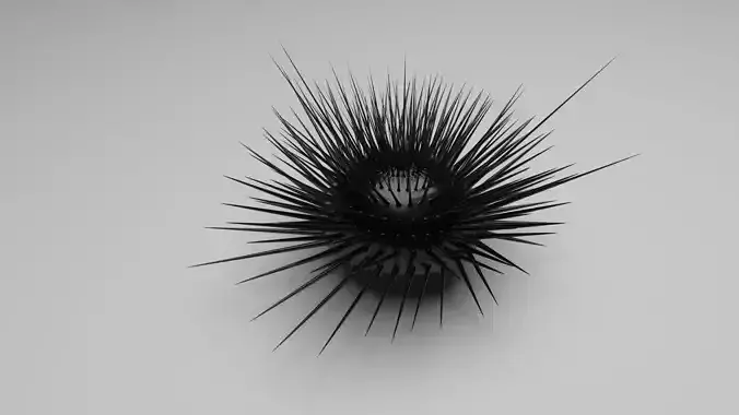 Sea Urchin 3D model
