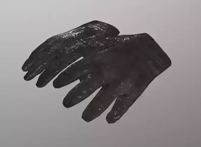 Gloves