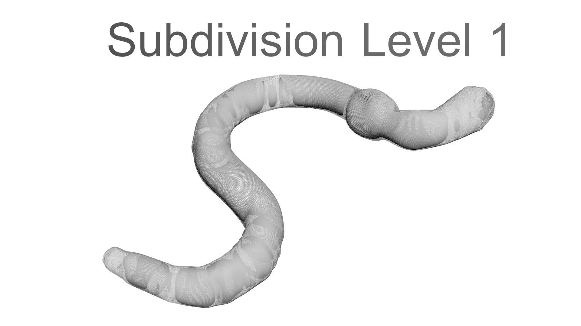 Earthworm 3D model_19