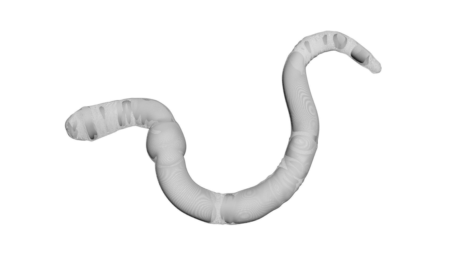 Earthworm 3D model_15