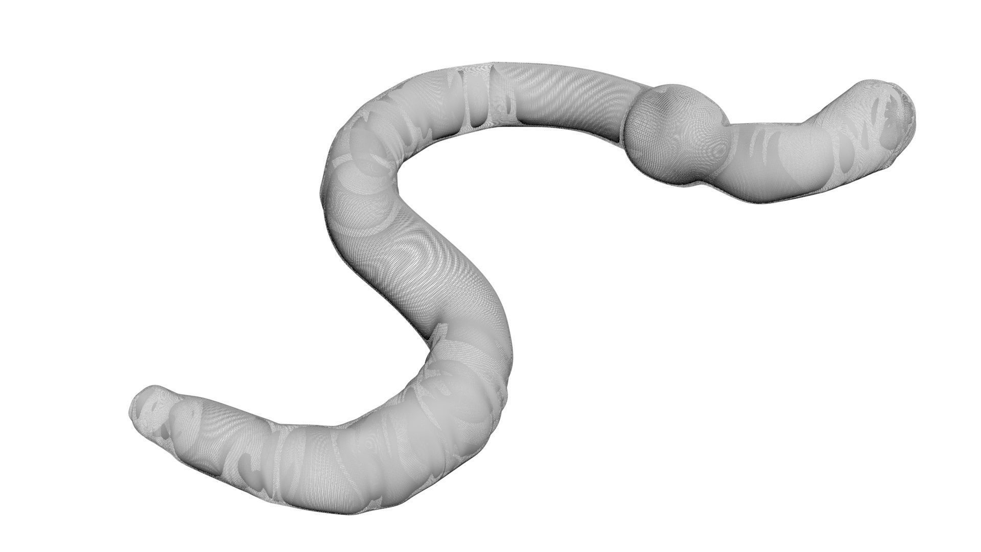 Earthworm 3D model_13