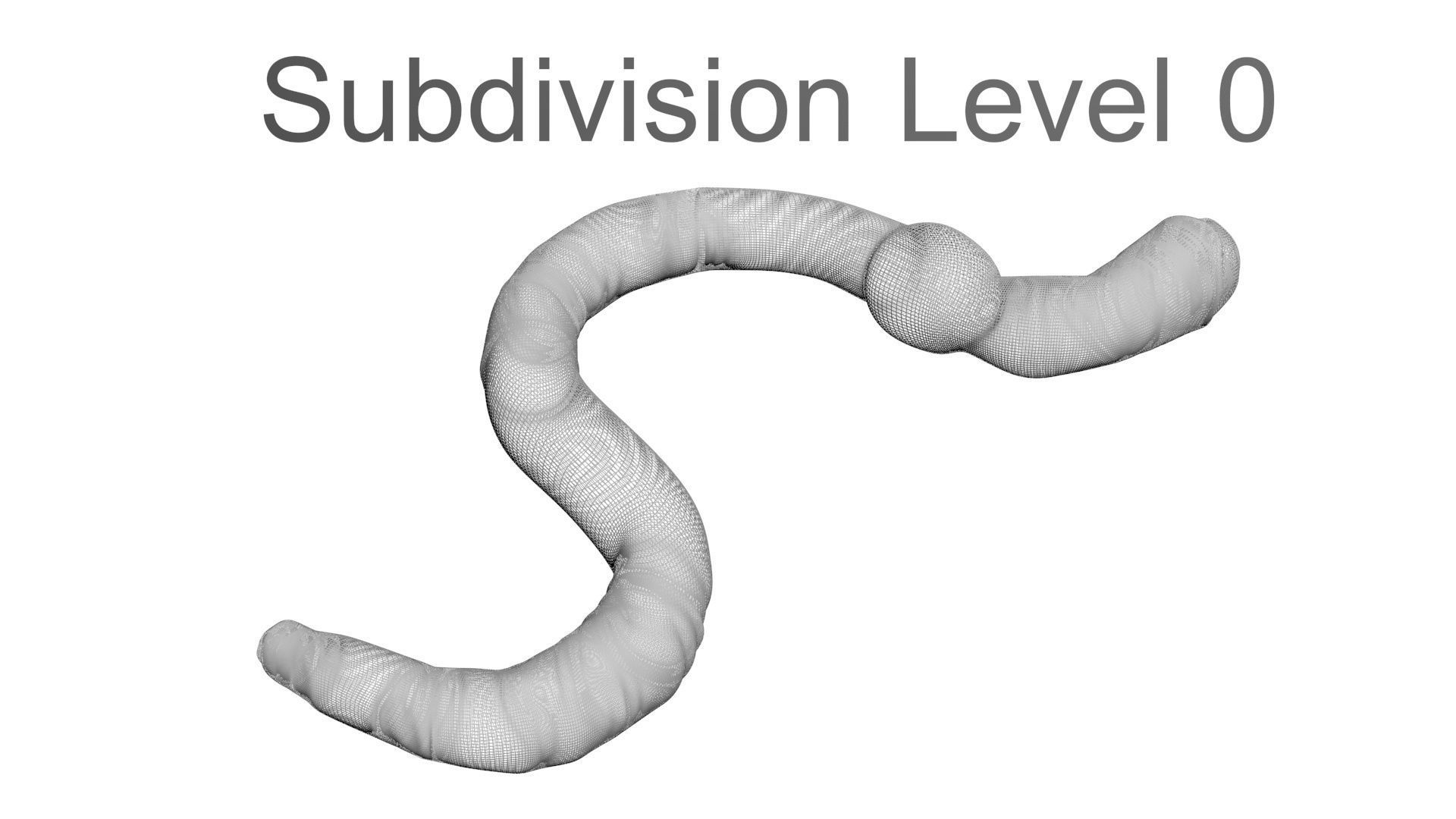 Earthworm 3D model_20