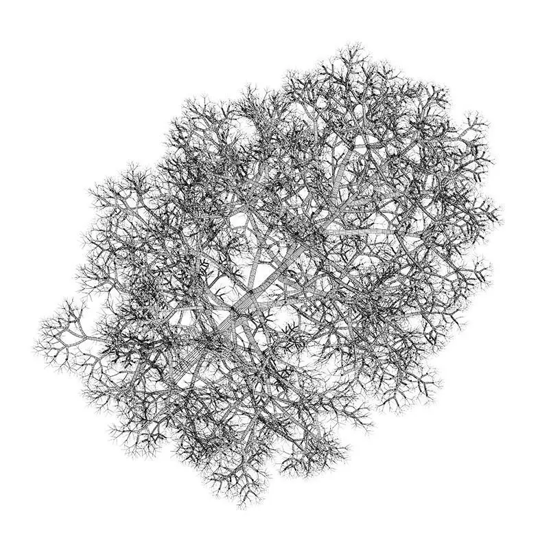 Acer Platanoides 8M winter 3D model_0