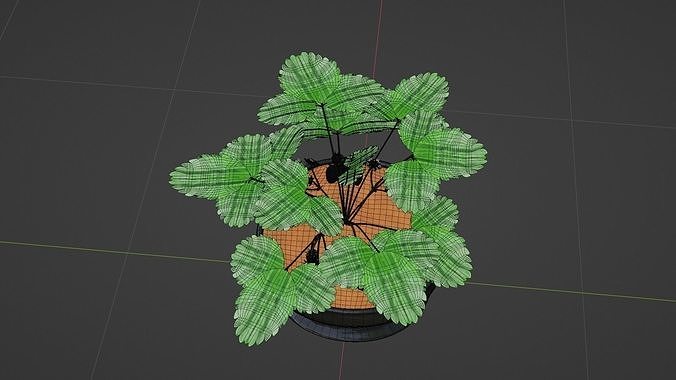 StrawberryPlant 3D model 7