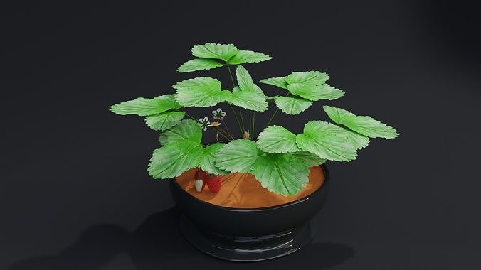 StrawberryPlant 3D model 2