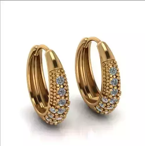 Earrings Model 3551
