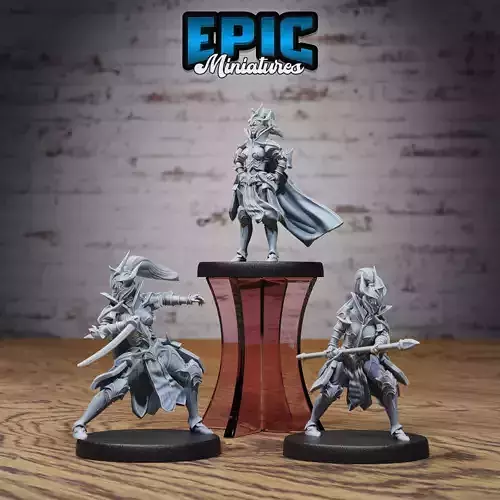 Hunters Guild Female Knight Set - DnD Tabletop Miniature 3D print model
