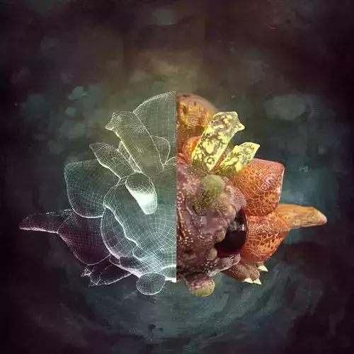 Fantasy Creature Critter