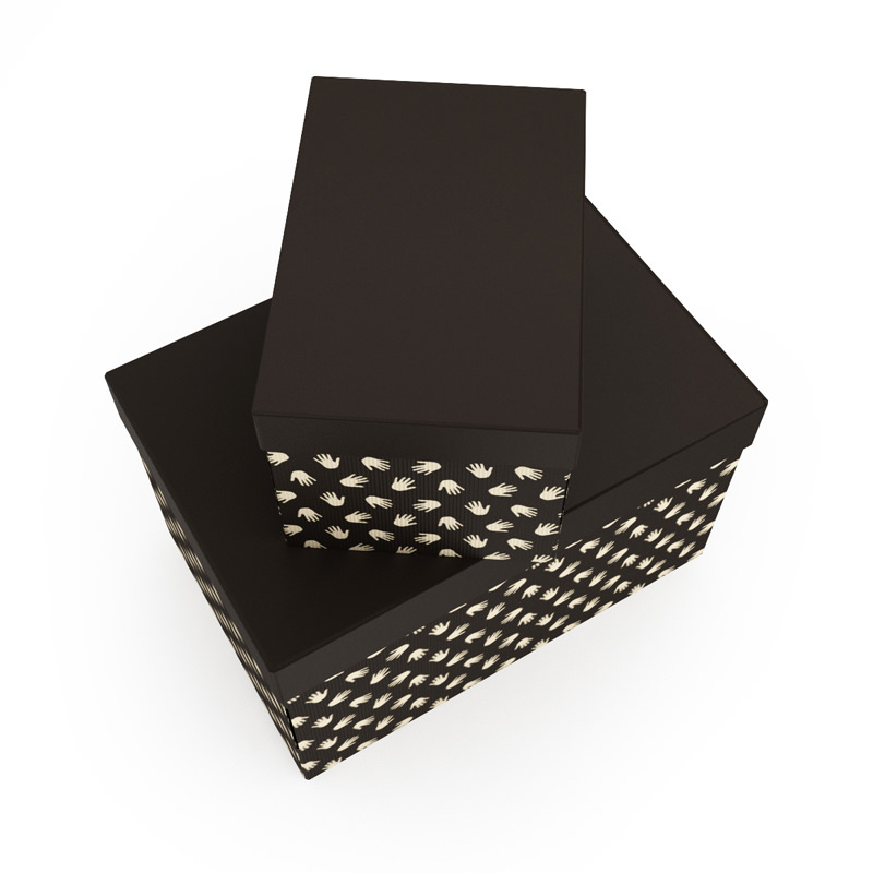 Boxes with Cover 3D model_1