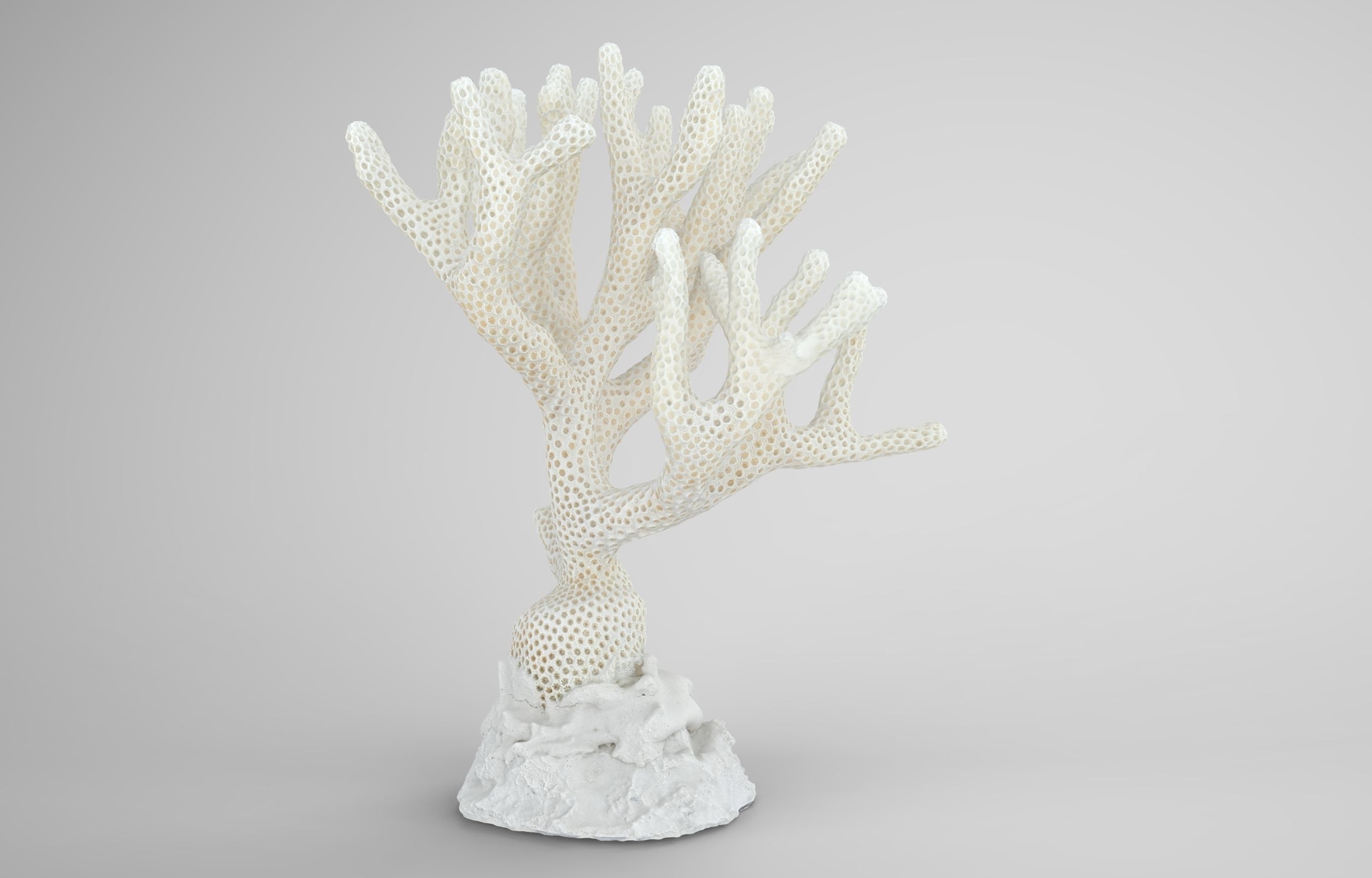 Coral Low-poly 3D model_0