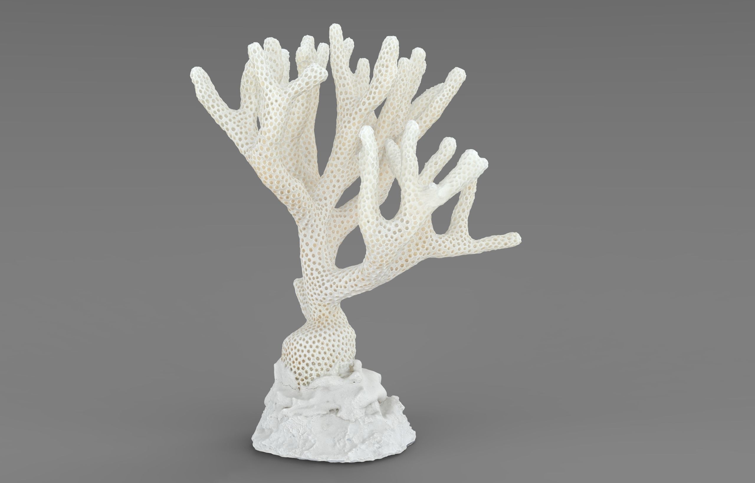 Coral Low-poly 3D model_4