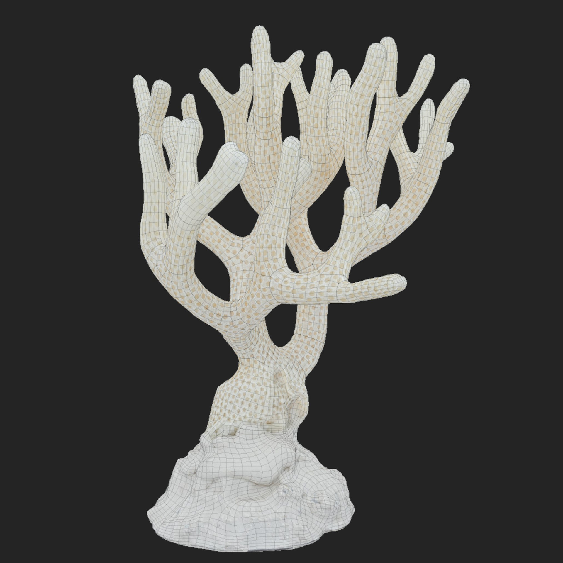 Coral Low-poly 3D model_7