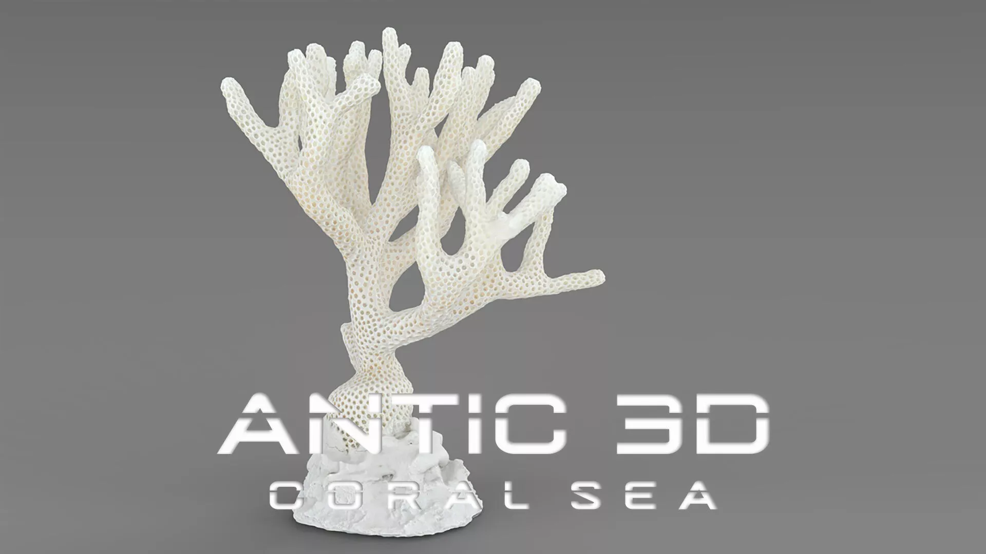 Coral Low-poly 3D model