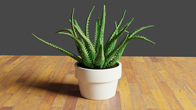 Aloe Vera HousePlant Low-poly 3D model