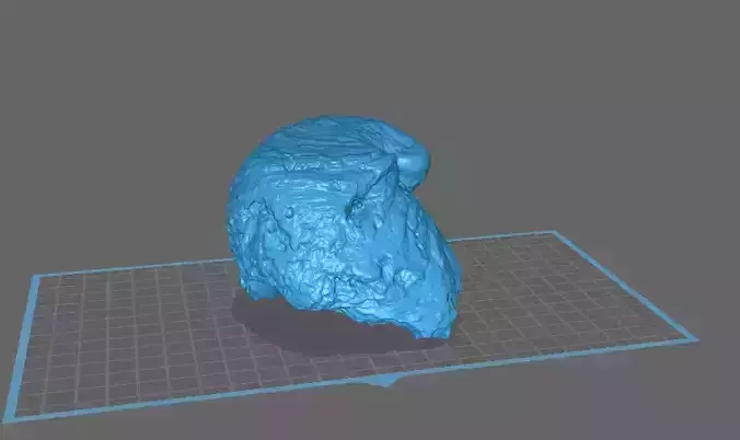 Exogyra Ponderosa Clam Fossil 3D print model
