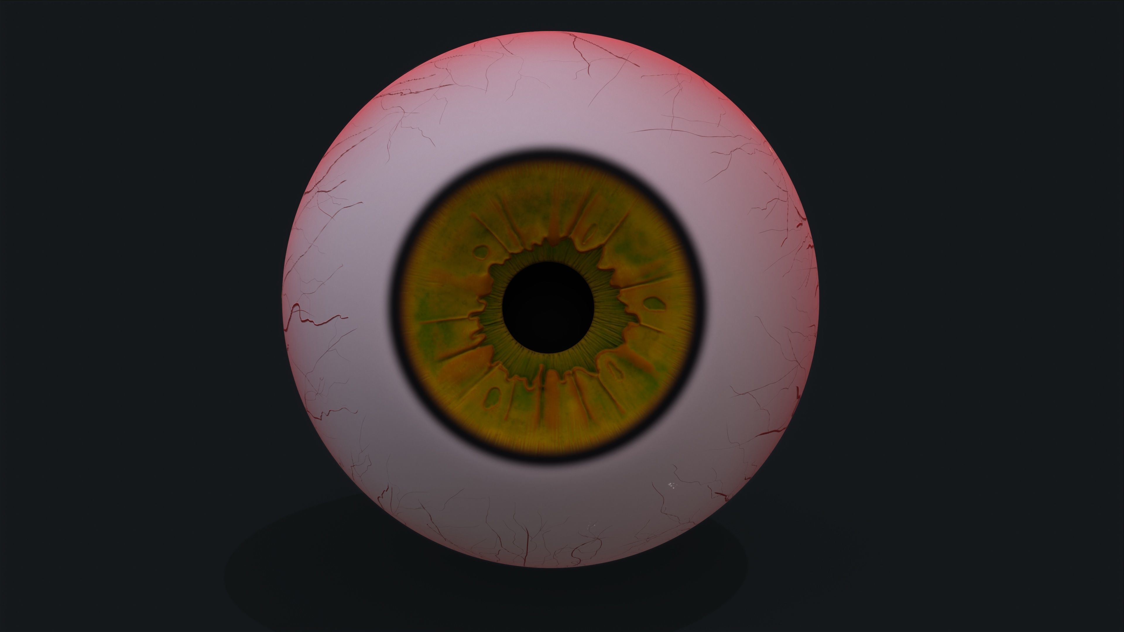 Realistic eye pack 01 Low-poly 3D model_12