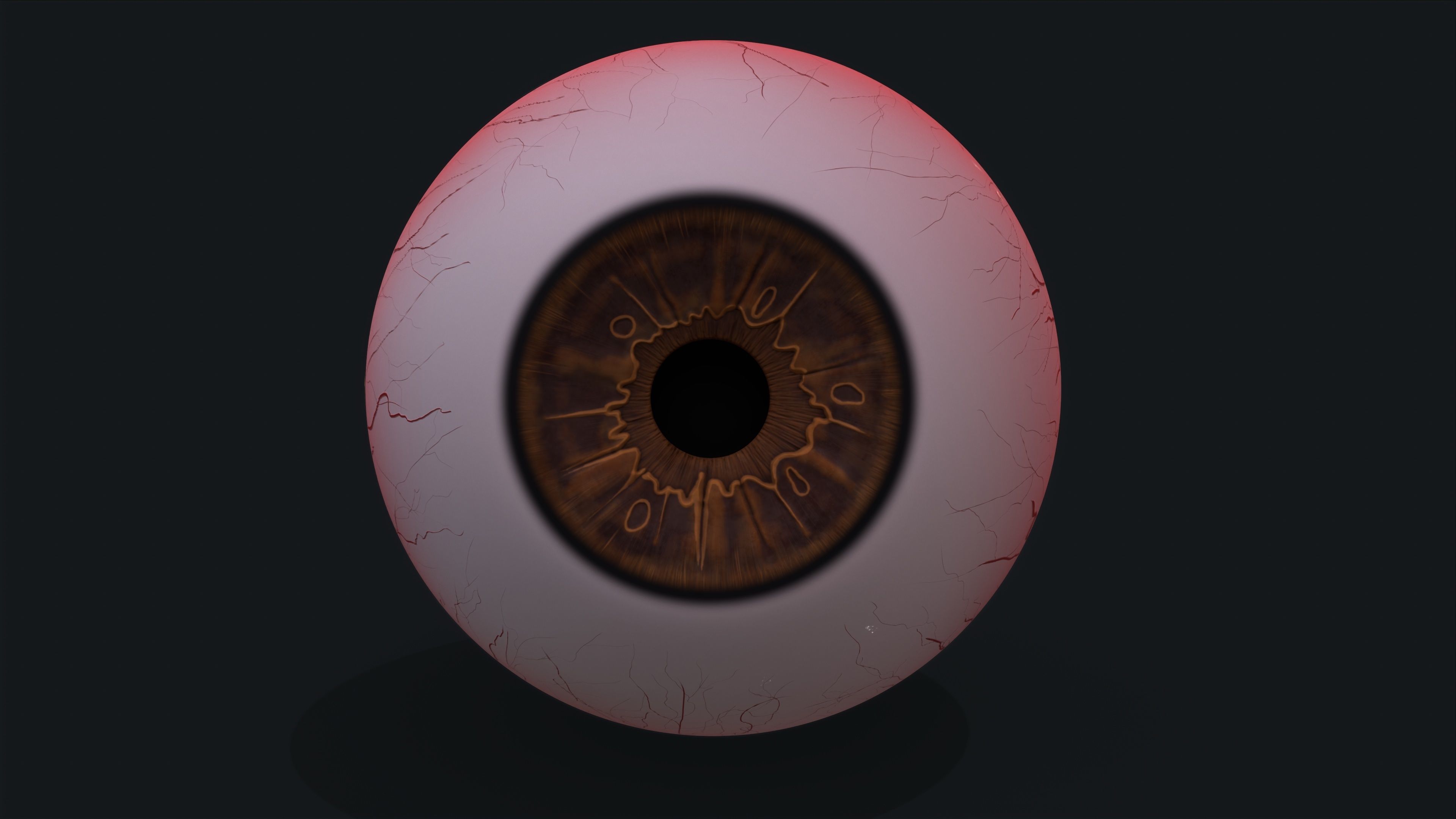 Realistic eye pack 01 Low-poly 3D model_11