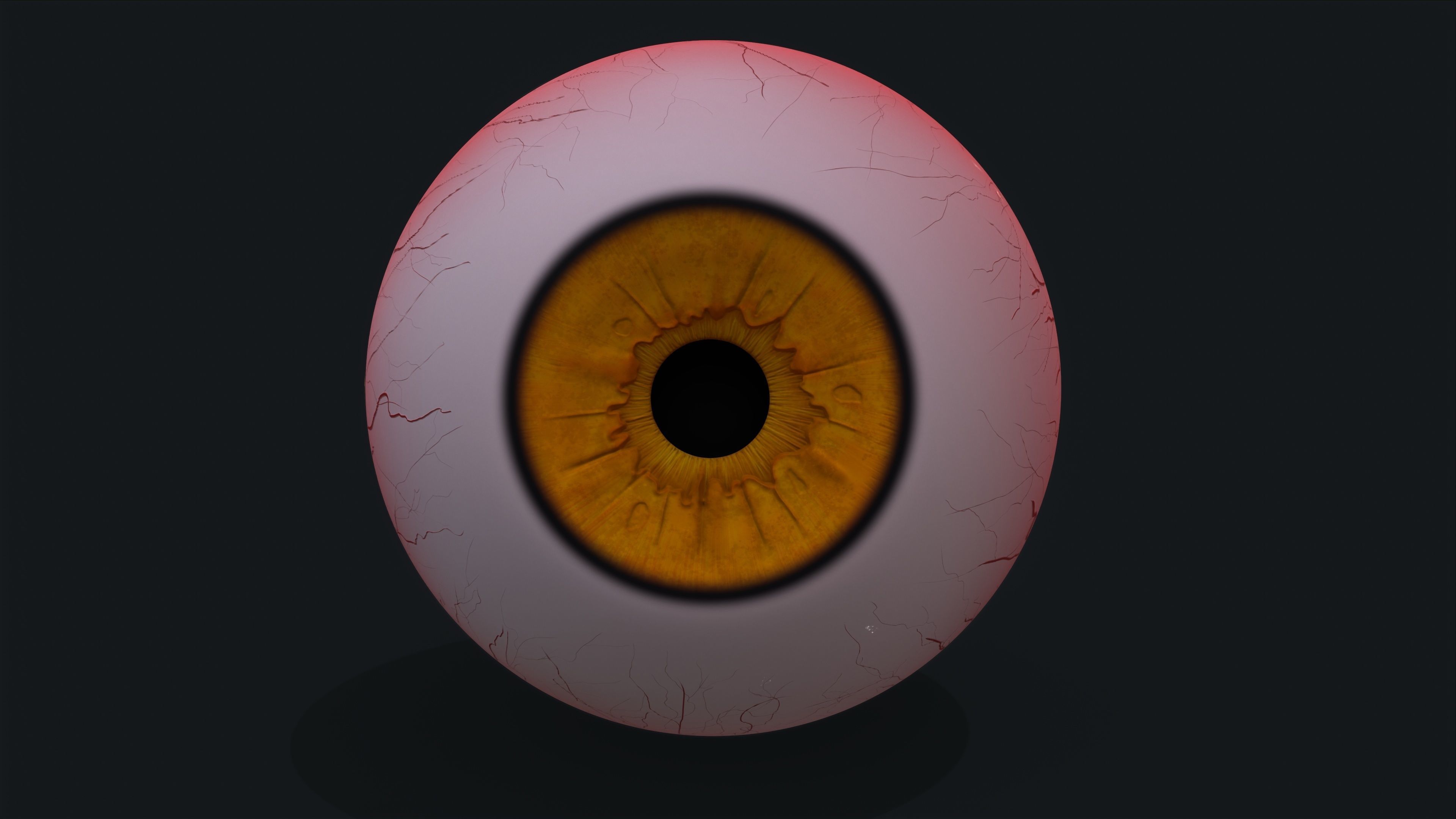 Realistic eye pack 01 Low-poly 3D model_1