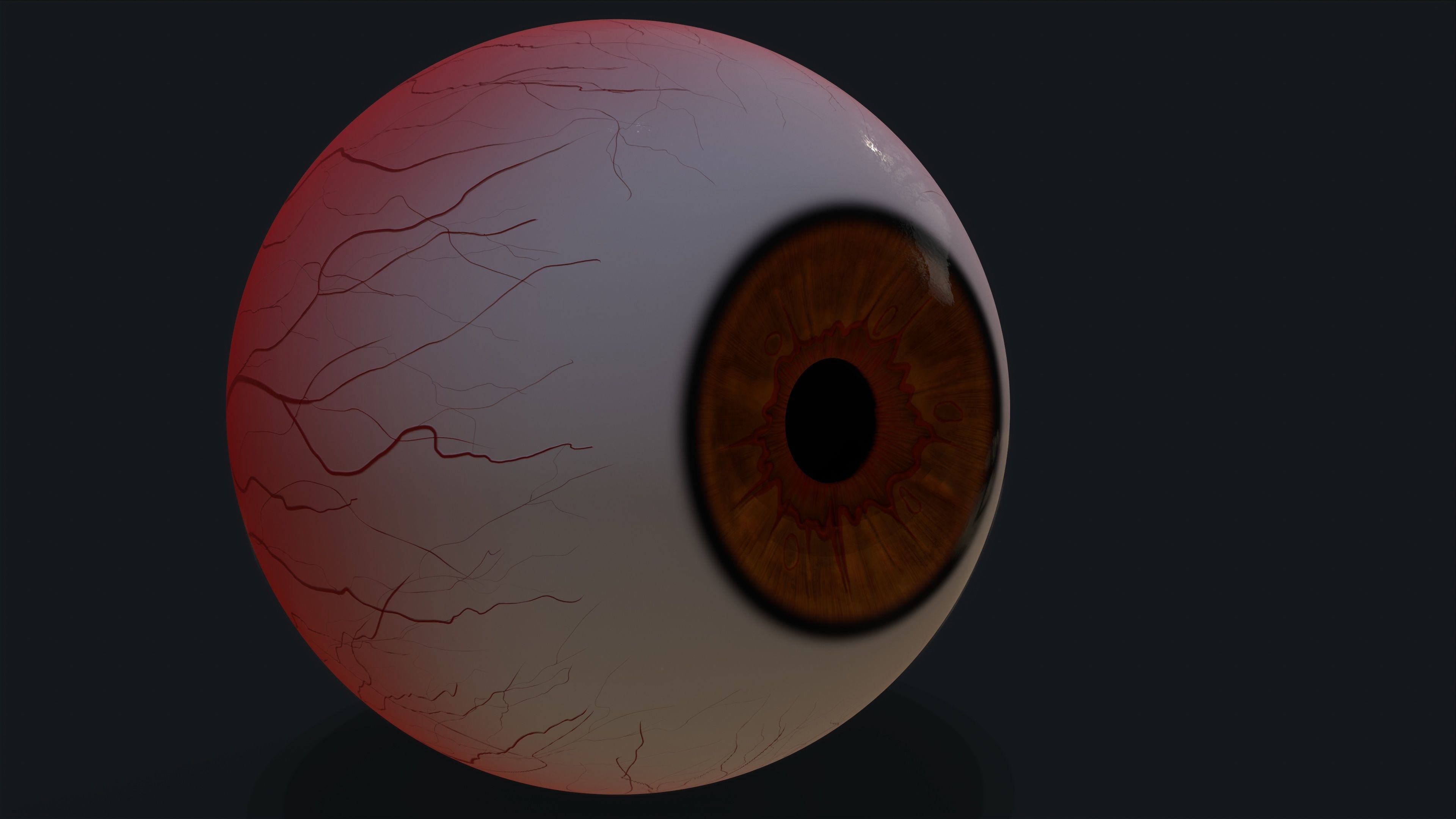 Realistic eye pack 01 Low-poly 3D model_14