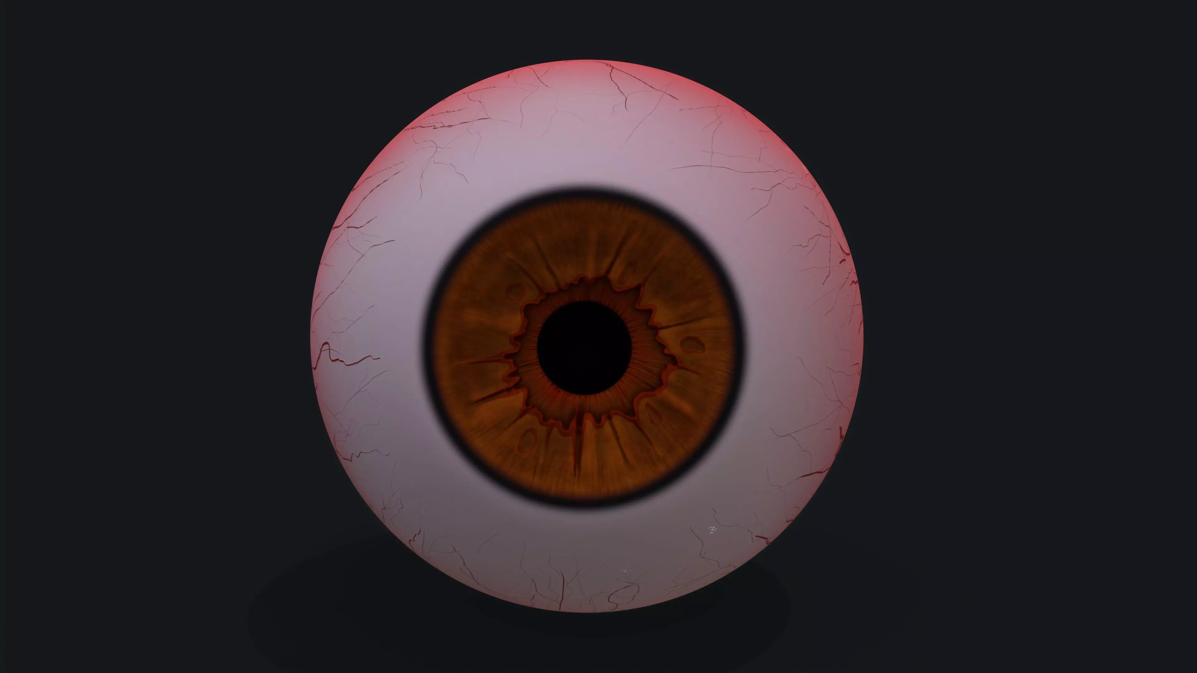 Realistic eye pack 01 Low-poly 3D model_0