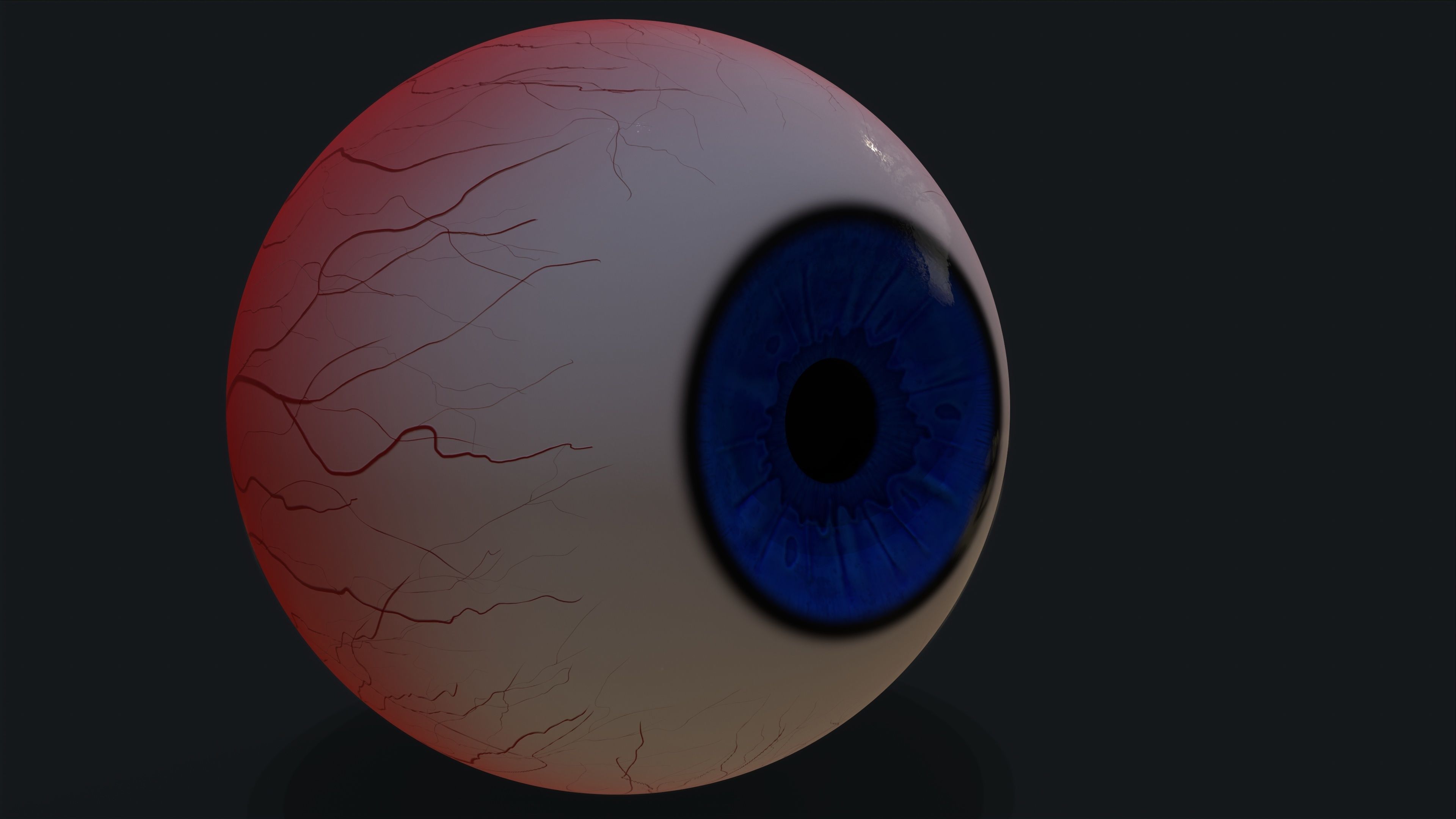 Realistic eye pack 01 Low-poly 3D model_13