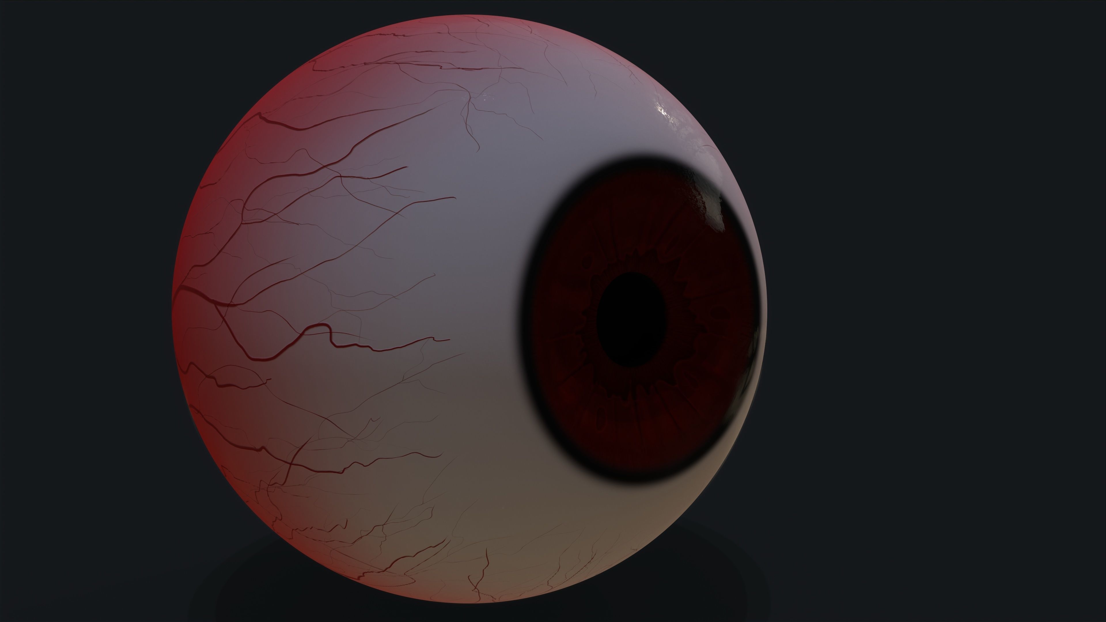 Realistic eye pack 01 Low-poly 3D model_21
