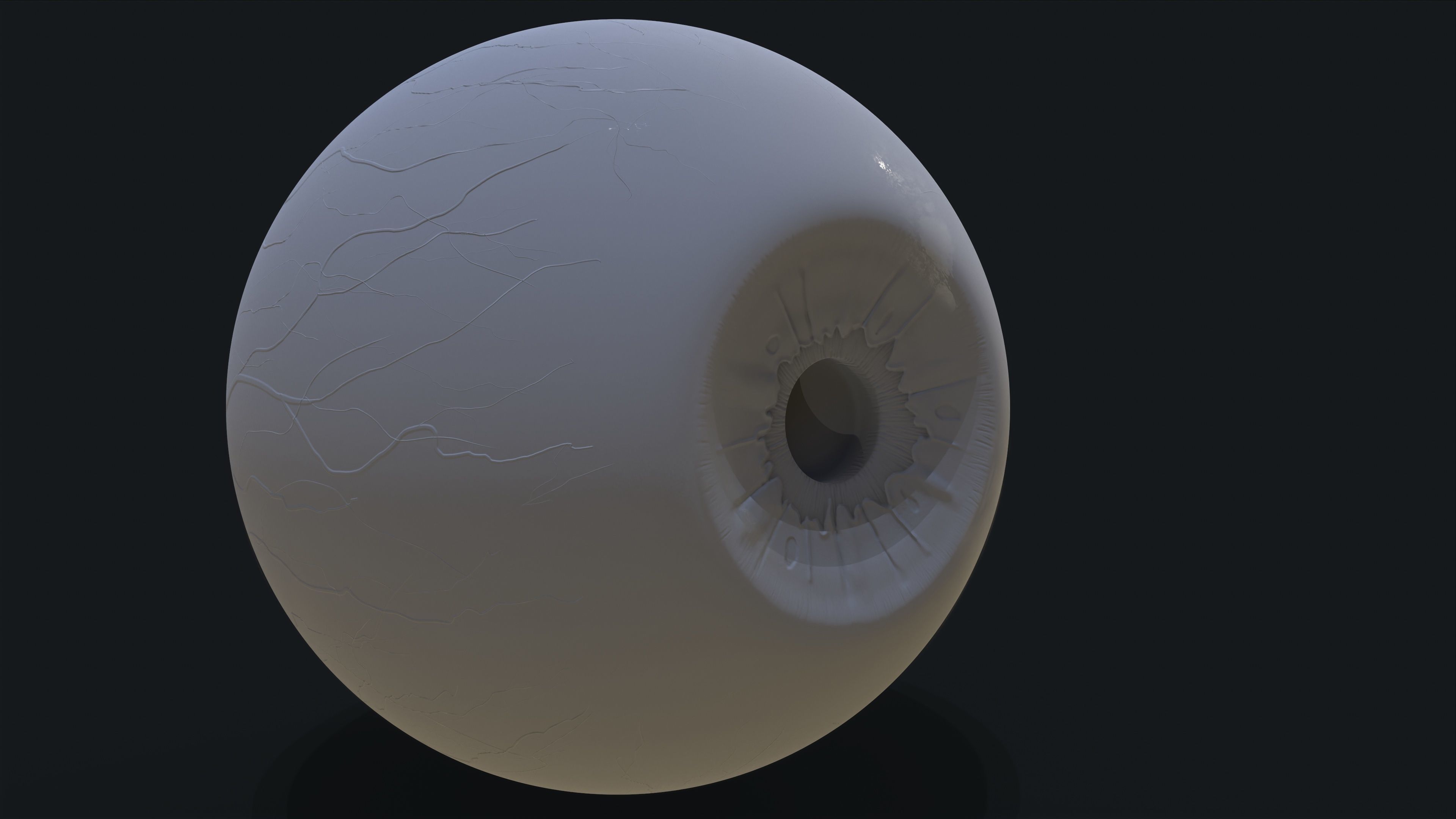 Realistic eye pack 01 Low-poly 3D model_31