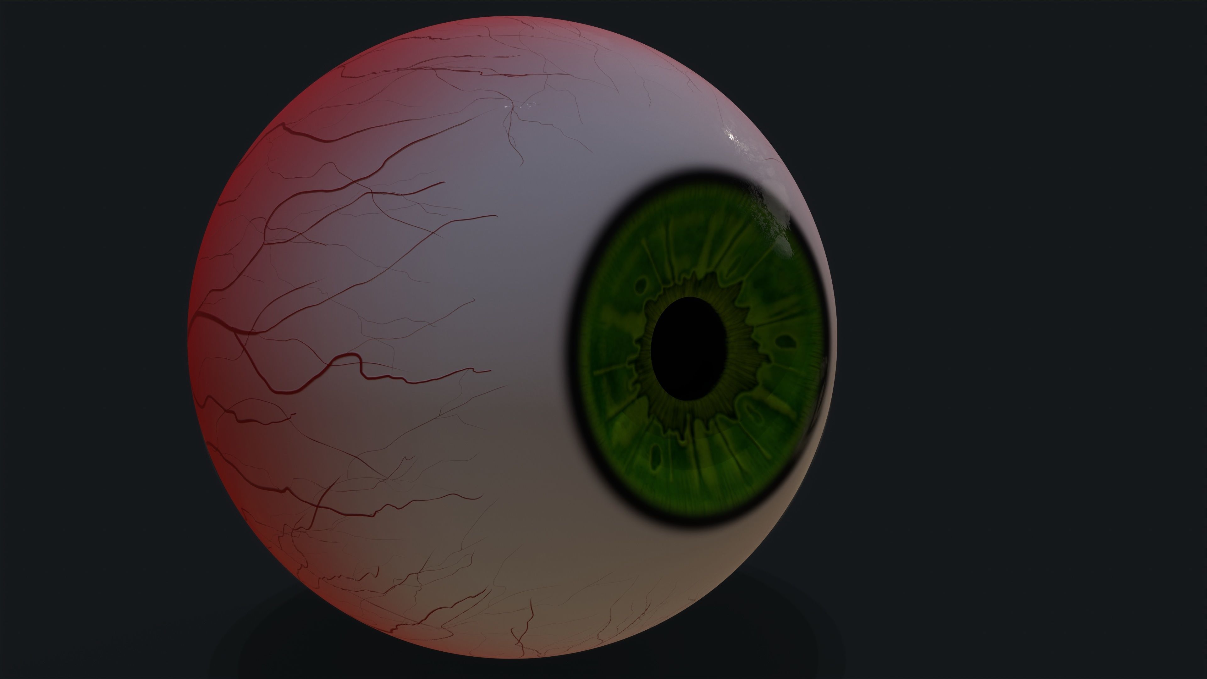 Realistic eye pack 01 Low-poly 3D model_27