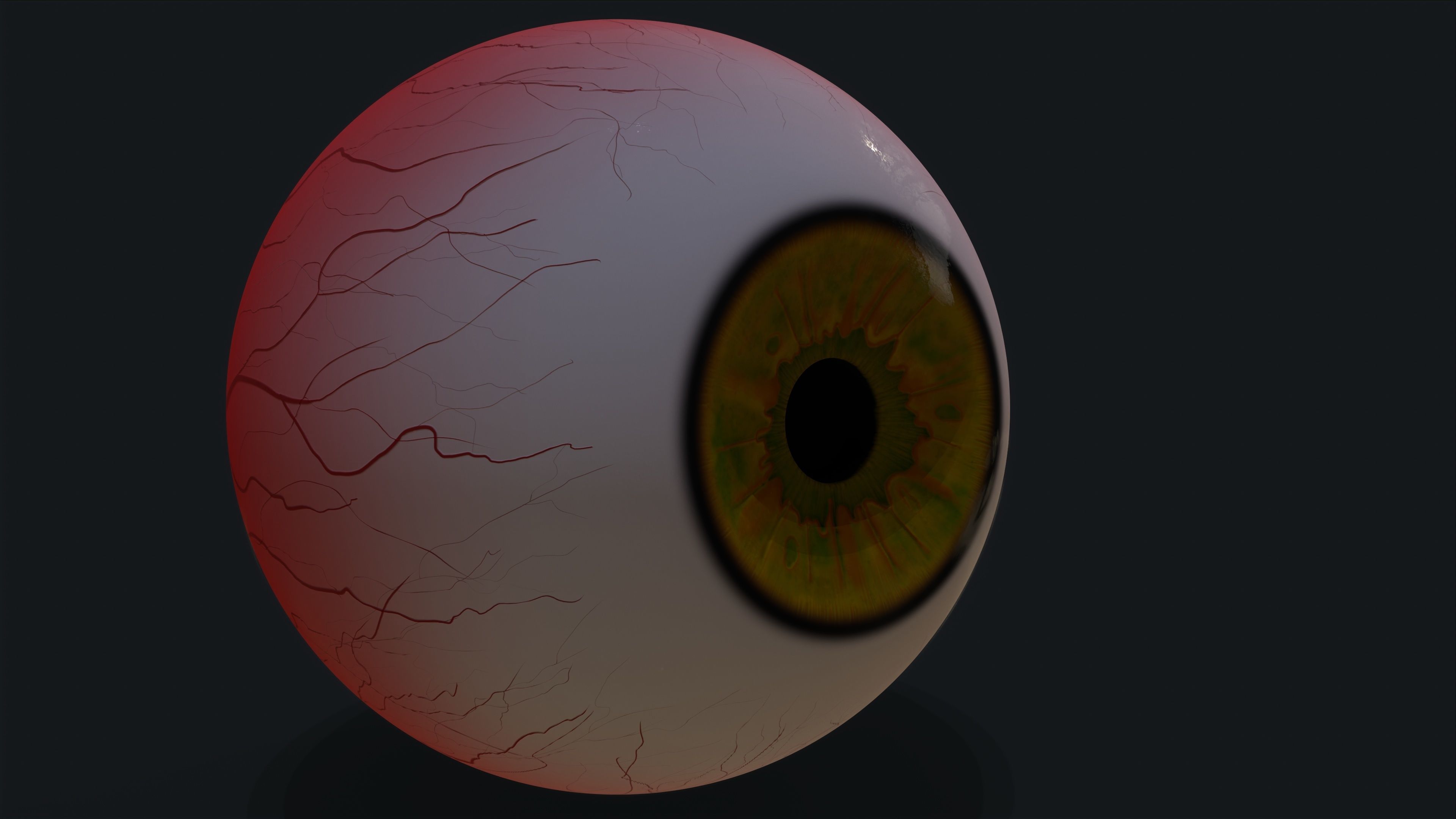Realistic eye pack 01 Low-poly 3D model_23