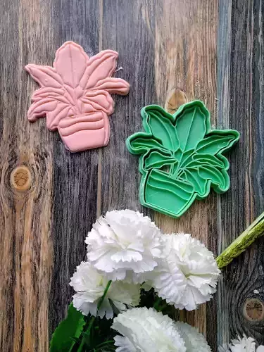 Set x 4 Cortantes Plantas Floral Cookie Galletitas 3D print model