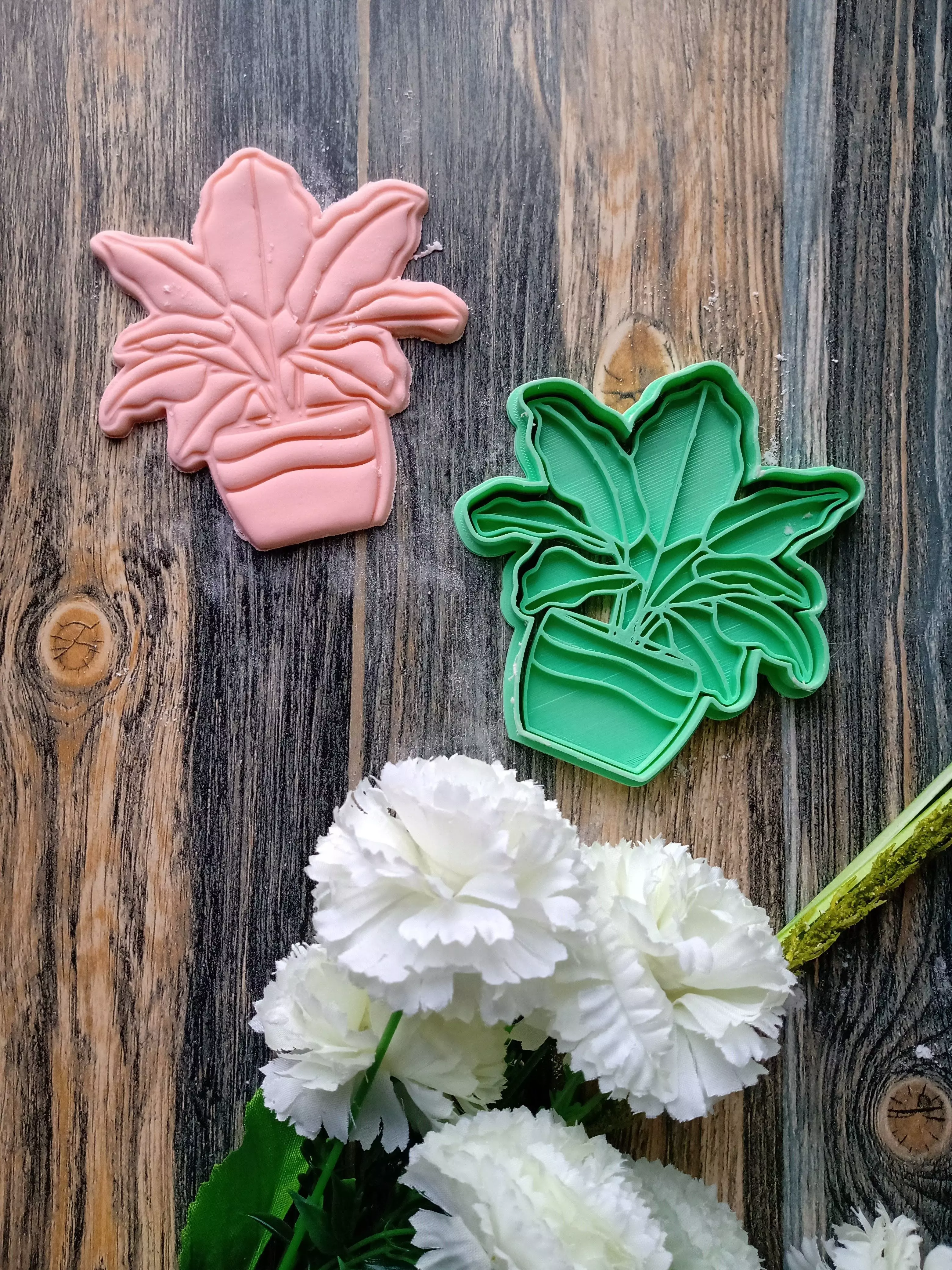 Set x 4 Cortantes Plantas Floral Cookie Galletitas 3D print model_0