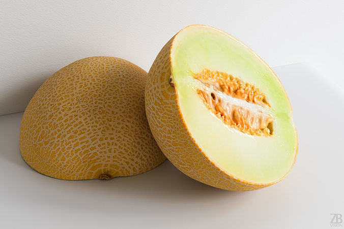 Melon 3D model