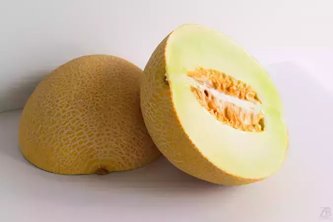 Melon 3D model