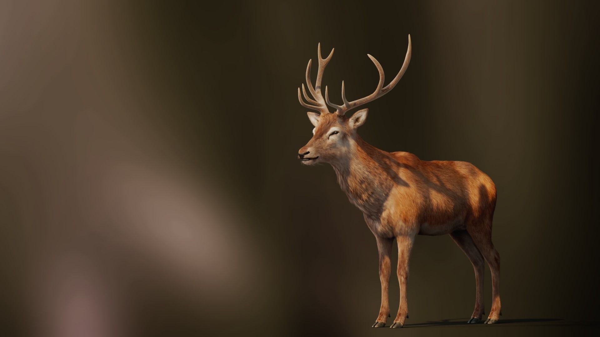 Deer xgen fur 3D model_2