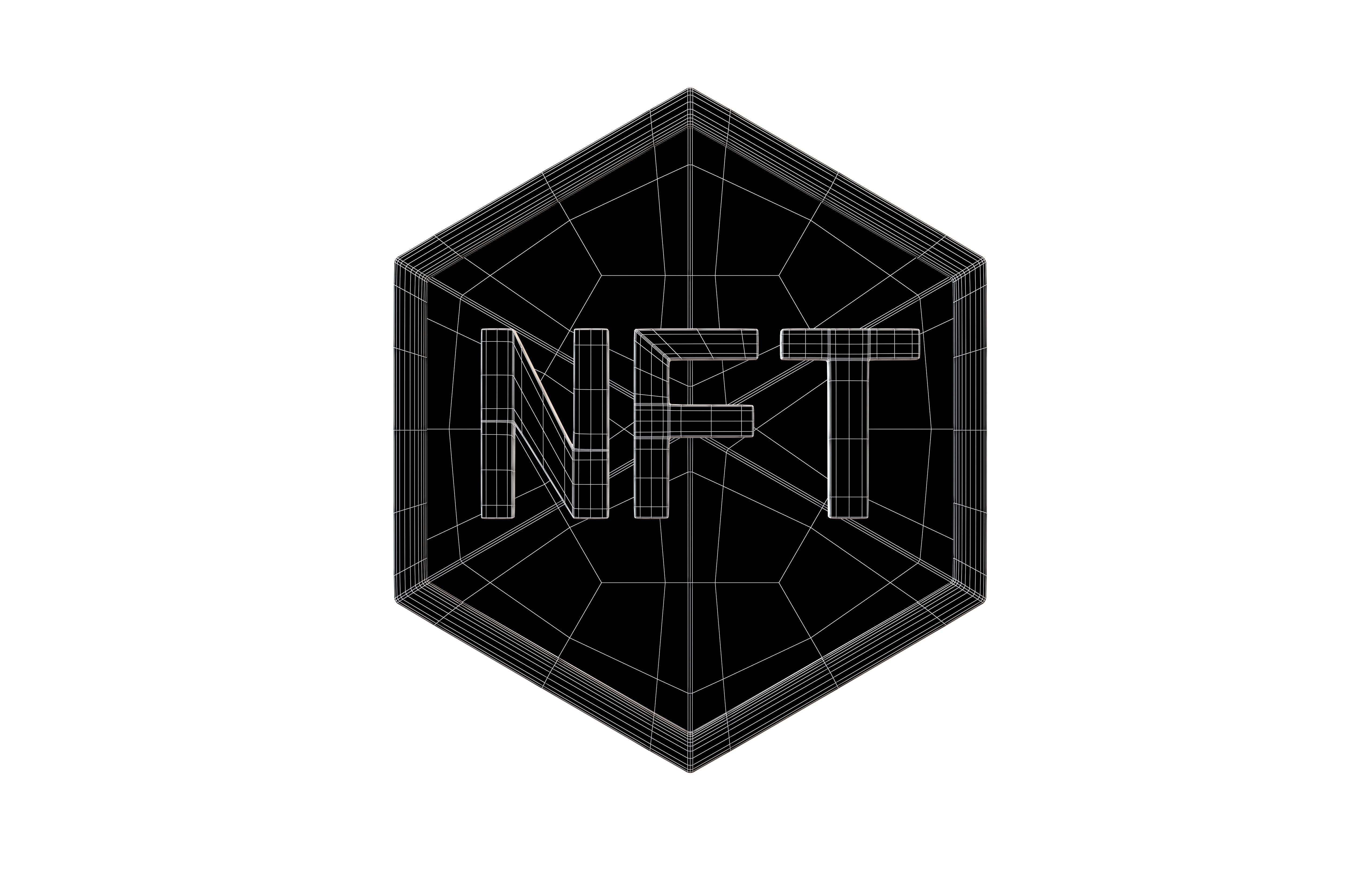 NFT Icon v4 006 Low-poly 3D model_4