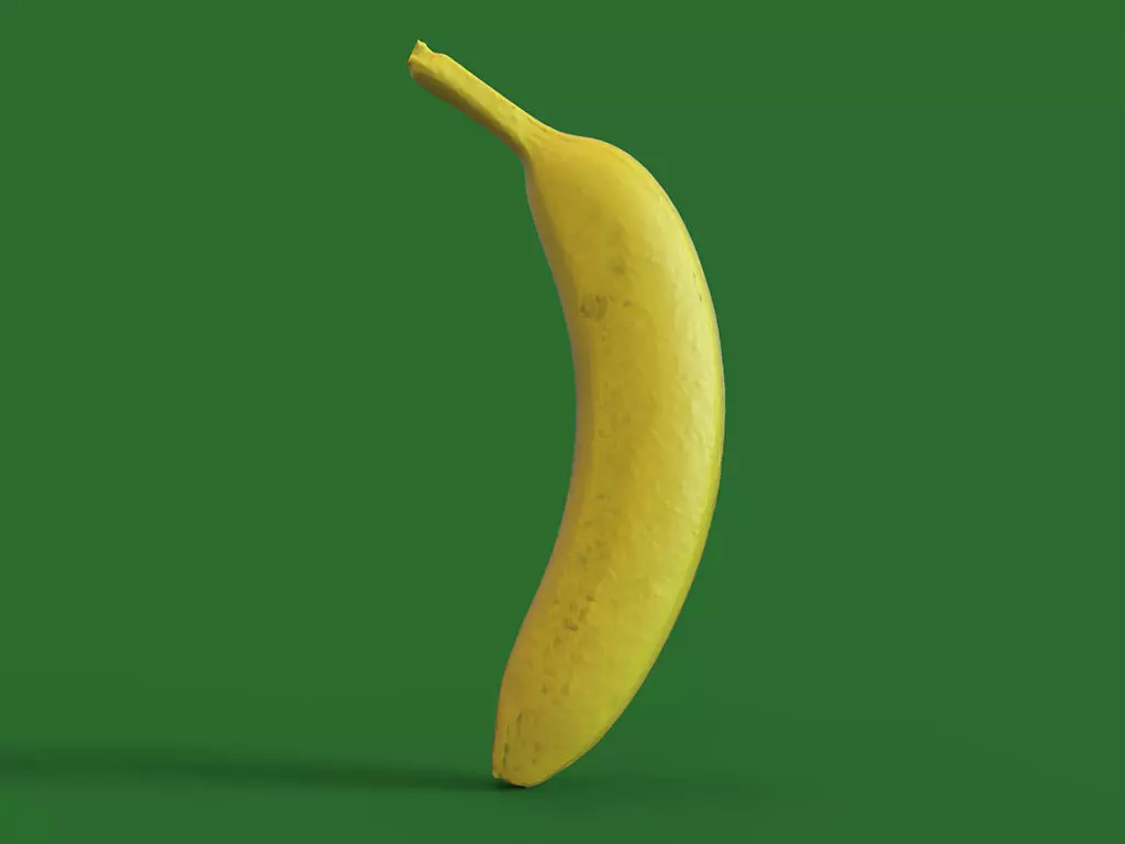 The famous museum banana Free 3D print model