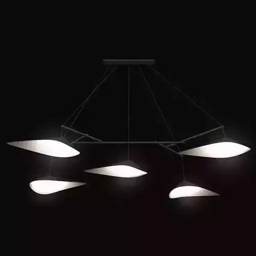 Ceiling Lamp