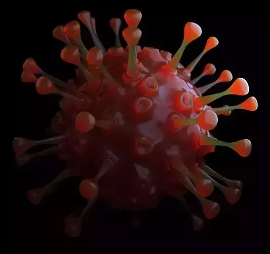 High polygon model of the VIRUS 3D model