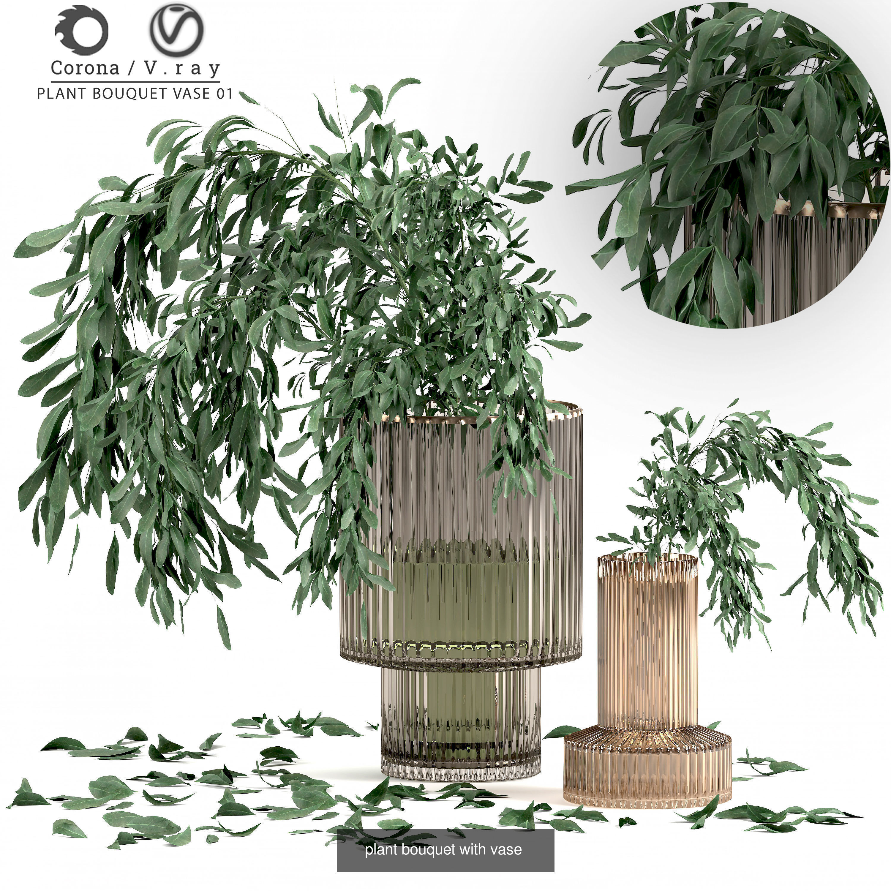 plants collection 1 _2