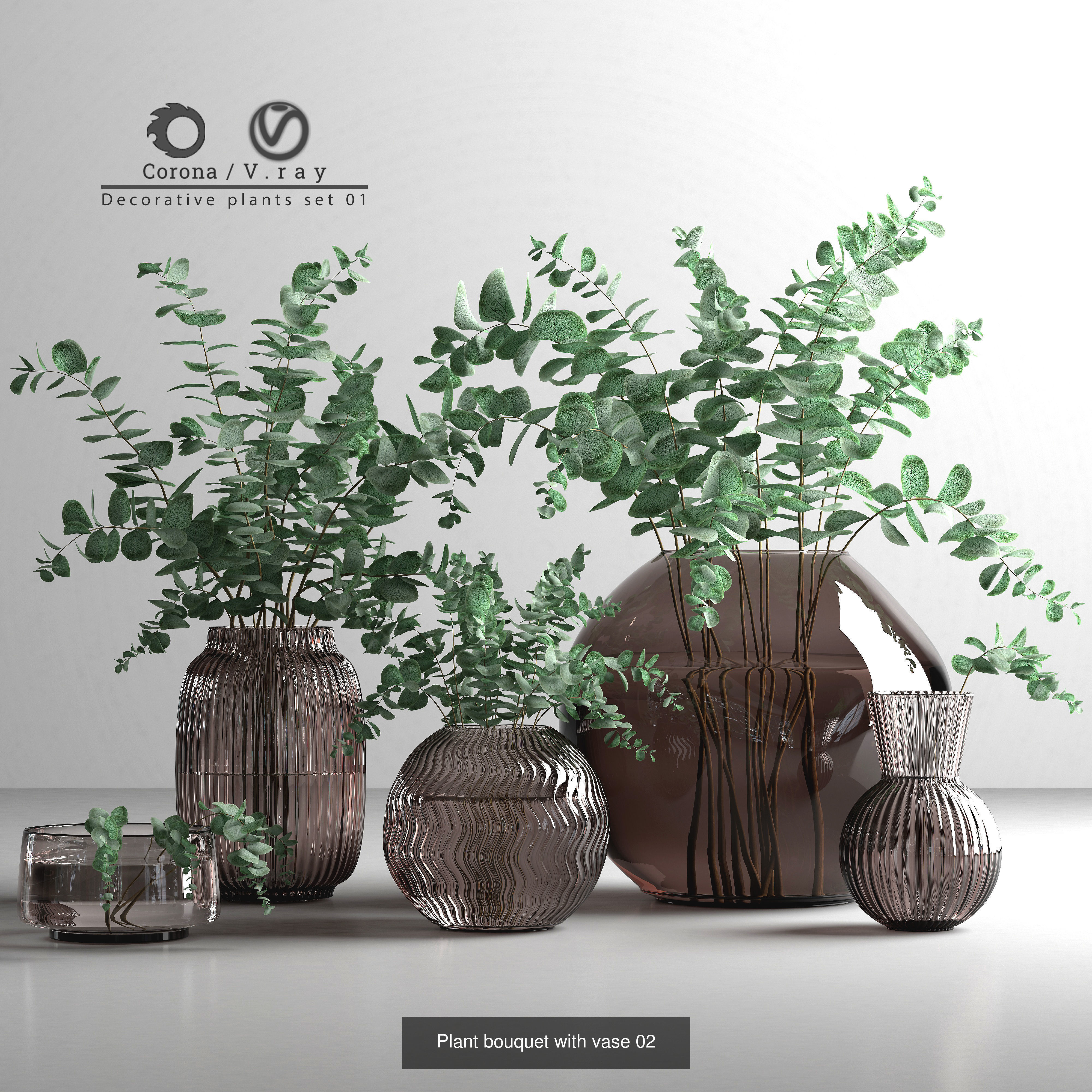 plants collection 1 _3