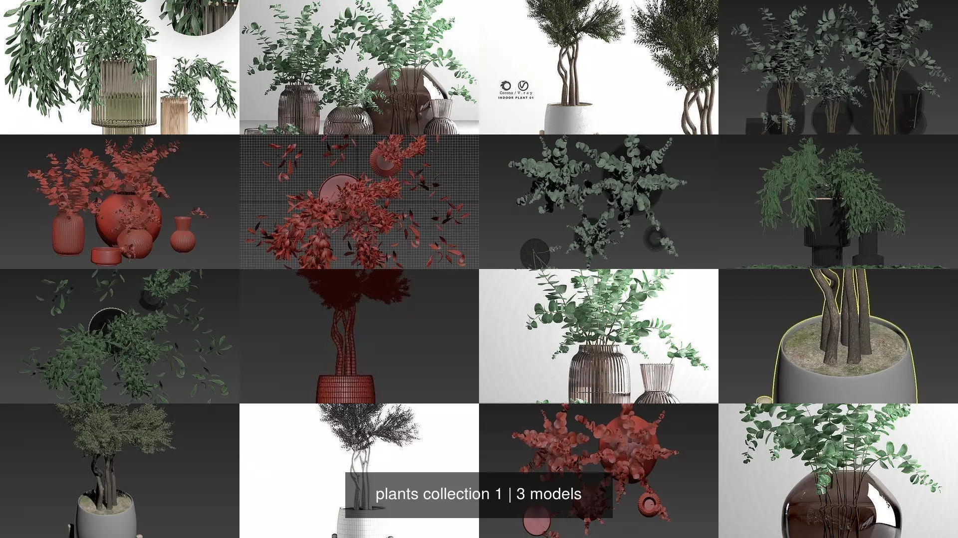 plants collection 1 _1