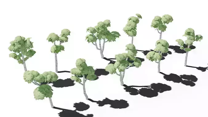 10 Stylized low poly Birch trees Low-poly 3D model